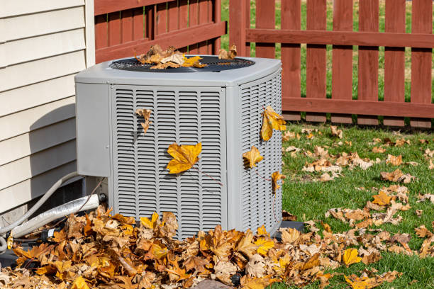 Best Affordable HVAC Services  in Lo, HI